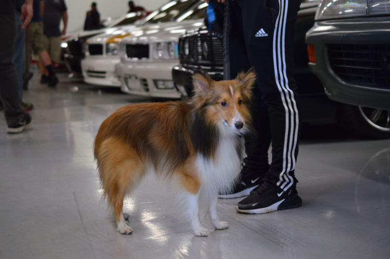 One of the many good boys that were there